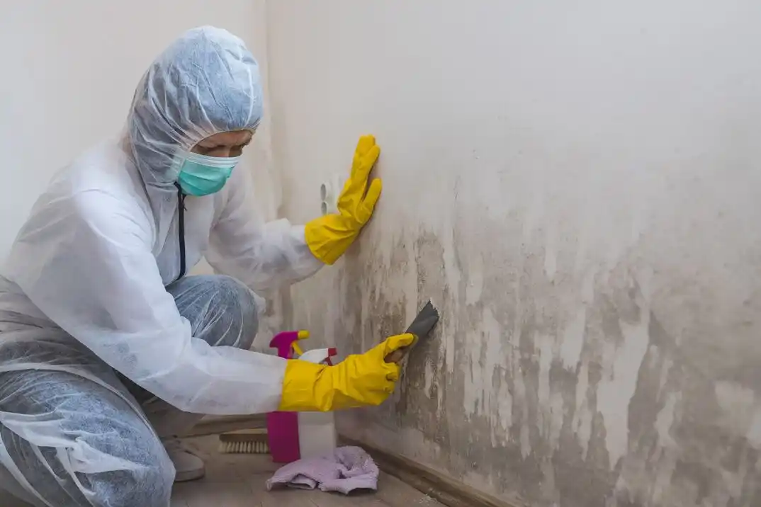 water damage restoration service Venable